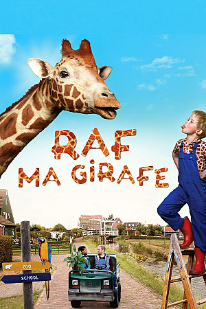 Raf, ma girafe