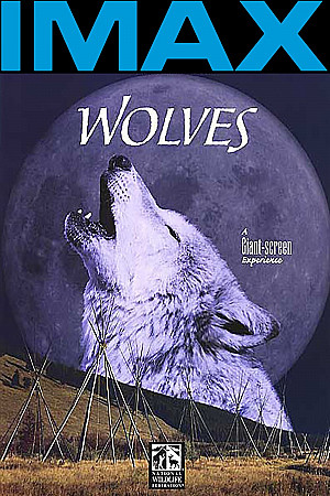 IMAX Nature - Le loup
