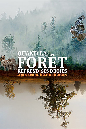 Quand la forêt reprend ses droits - Le parc national de la forêt de Bavière