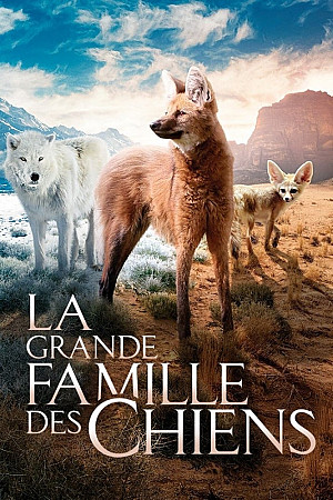 La grande famille des chiens