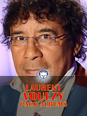 Laurent Voulzy - Pack Albums