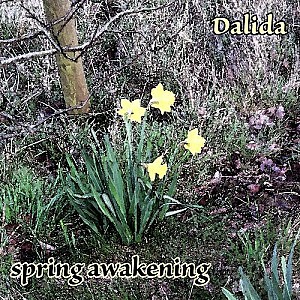 Dalida – Spring Awakening