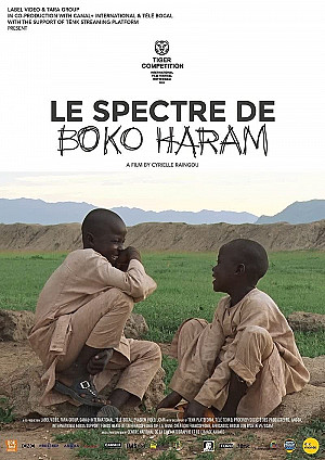 Le spectre de Boko Haram