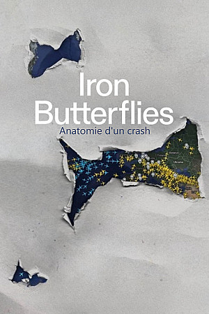 Iron Butterflies - Anatomie d'un crash