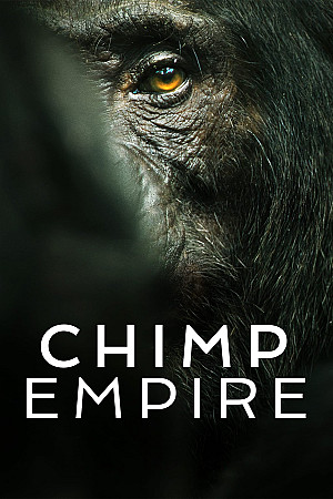 L'Empire des chimpanzés