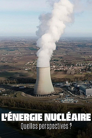 L’énergie nucléaire - Quelles perspectives ?