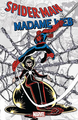 Marvel-Verse : Spider-Man & Madame Web