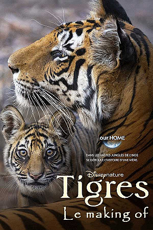 Tigres : Le Making of