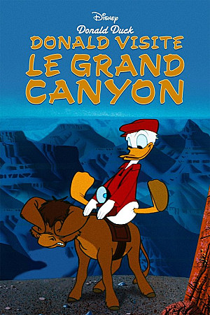 Donald visite le Grand Canyon