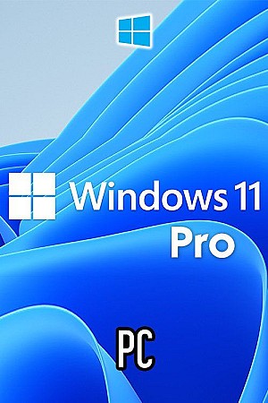Windows 11 Pro - Insider Preview Untouched