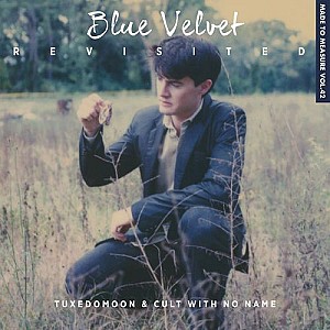 Blue Velvet Revisited