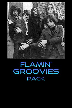 Flamin\' Groovies - Pack