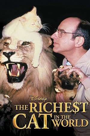 Le Chat le plus riche du monde