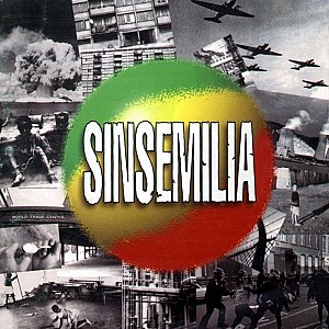 Sinsemilia - Première récolte