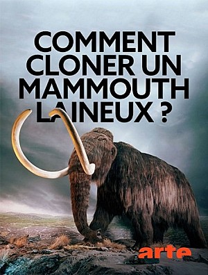 Comment cloner un mammouth laineux ?