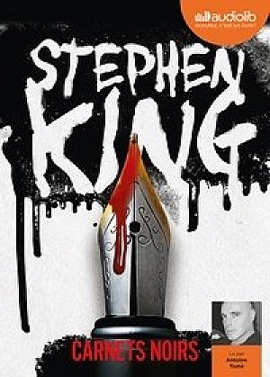 Stephen King - Carnets noirs