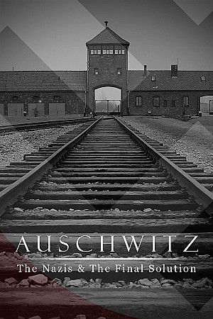 Auschwitz : Les Nazis et 'la Solution Finale'