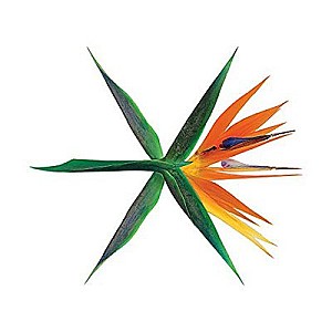 EXO - THE WAR - The 4th Album + (Chinese Version)