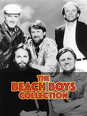 The Beach Boys - Collection